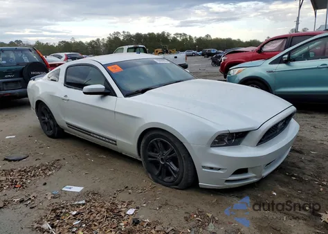 2014 Ford Mustang z USA, uszkodzony, nr VIN 1ZVBP8AM5E5334035